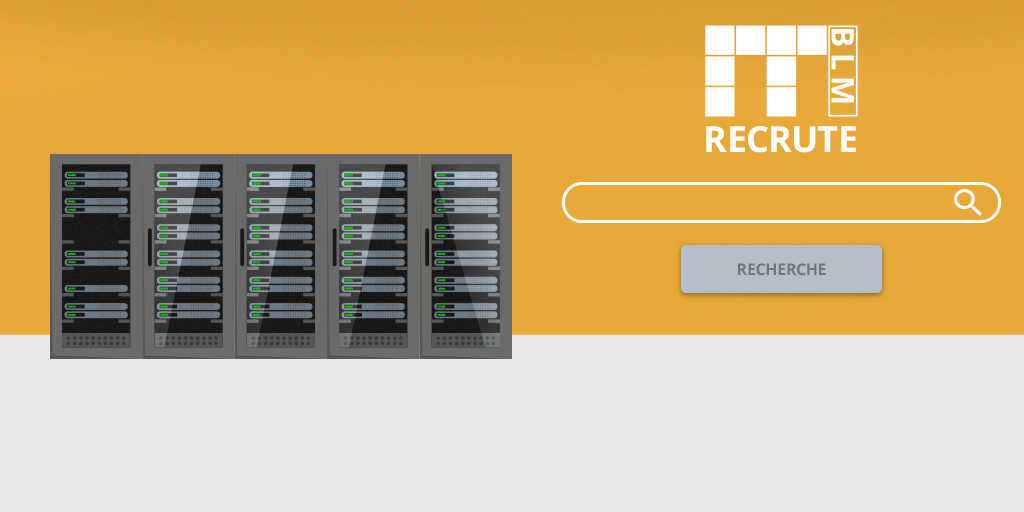 Offre Administrateur Systèmes et Réseaux (h/f)
