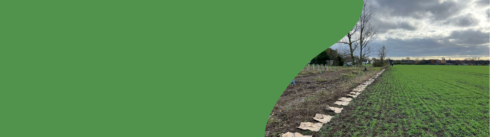 Creuser, planter, s’engager : l’équipe met les mains dans la terre pour la biodiversité