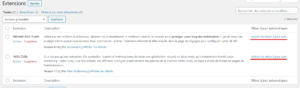 mise à jour automatique des extensions wordpress